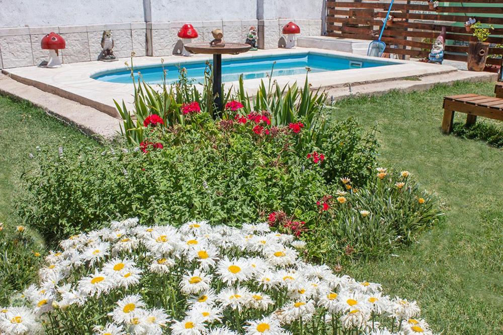 un giardino fiorito di fronte a una piscina di Departamento San Ignacio a San Luis