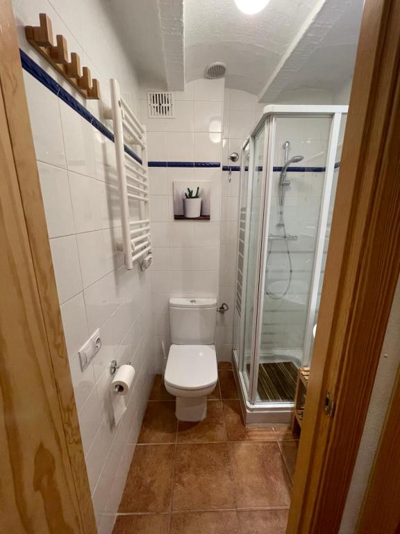 Koupelna v ubytování Apartamento con encanto