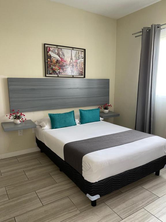 Constanza Lofts Constanza Lofts