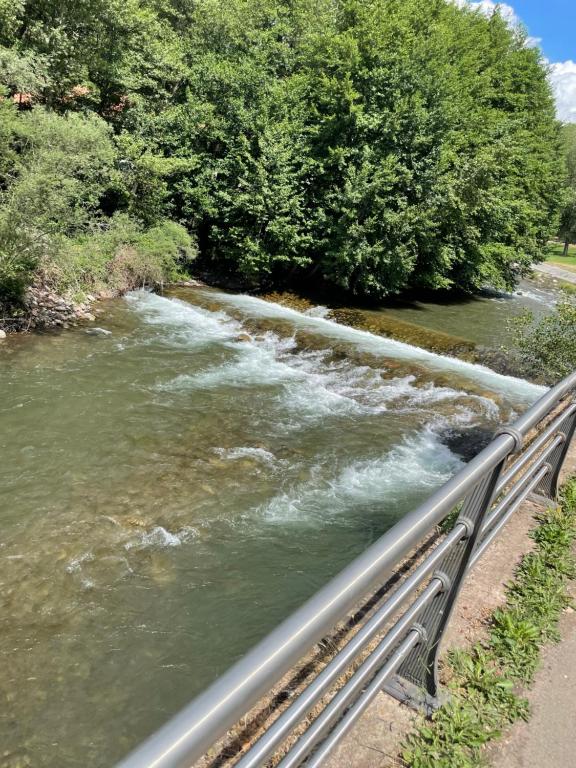 Příroda nedaleko apartmánu