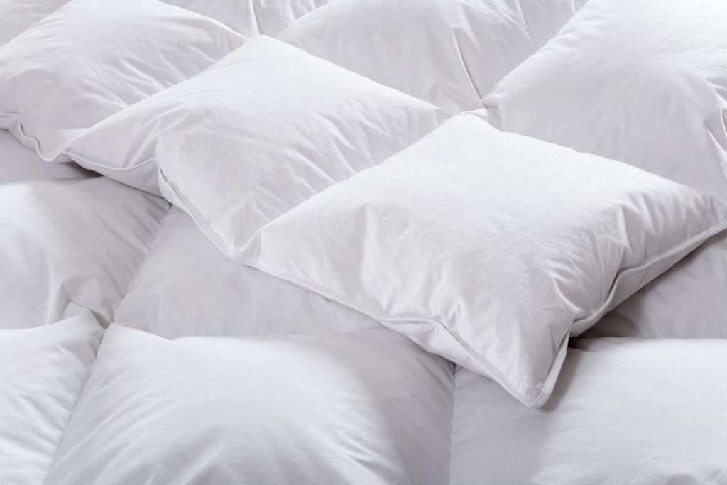 Hotel Adrett am Dom - Digital Access - Resim 23