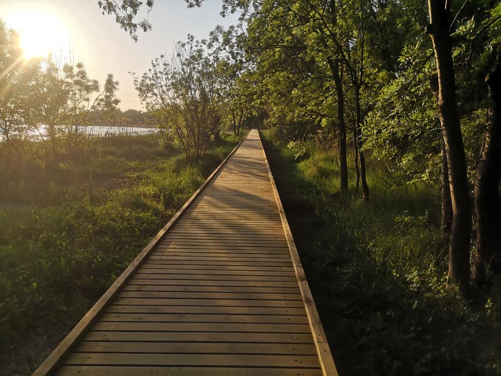 Příroda nedaleko apartmánu