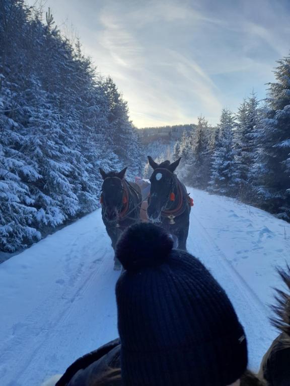 Spiska Dolina v zime