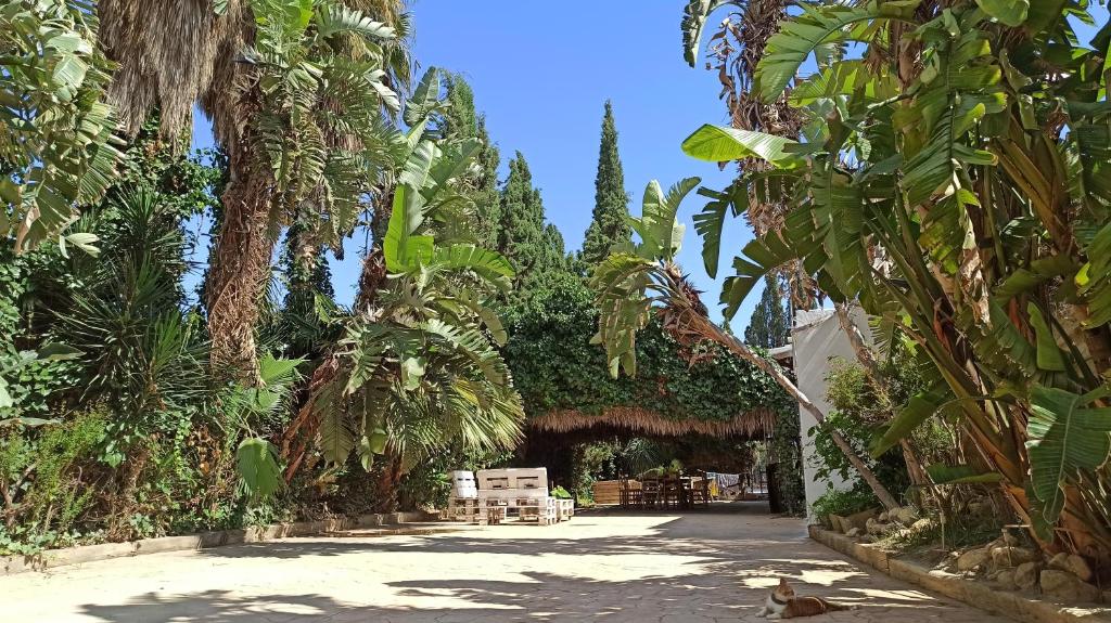 a courtyard with palm trees and a table and chairs at Bakit House - Casa rural con piscina in Águilas