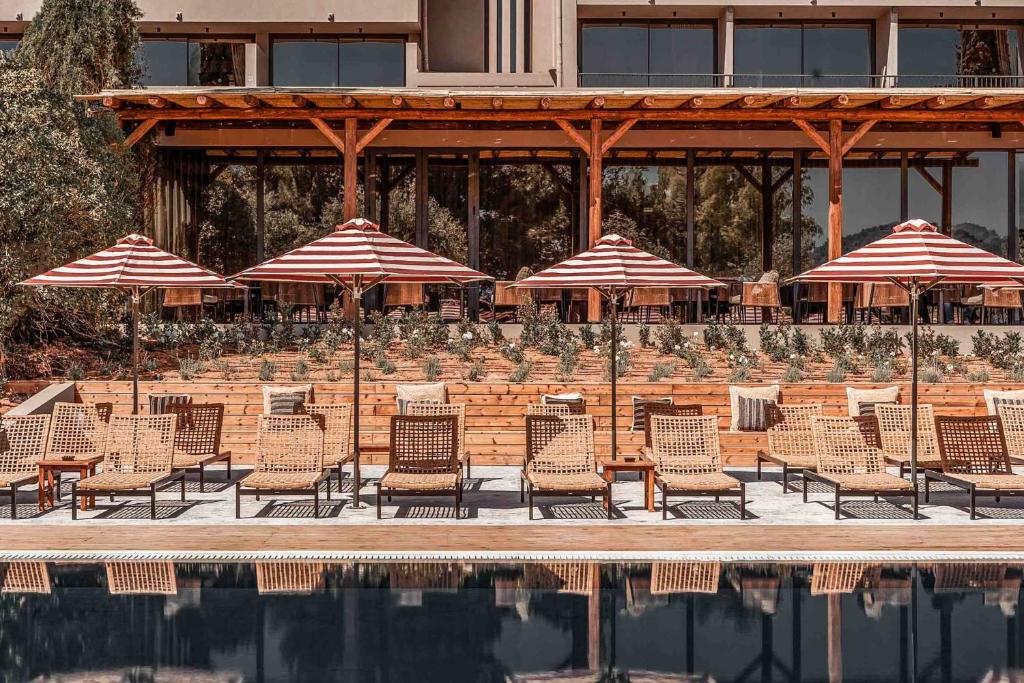 a group of chairs and umbrellas next to a pool at Cook's Club Corfu - Adults Only in Gouvia