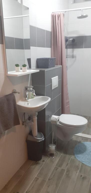 Koupelna v ubytování Apartment Vrljika,with private pool,bikes,garage