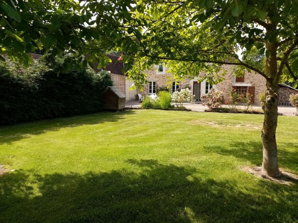 a yard with a green lawn with a tree at Entre forêts et prairies in Le Cercueil