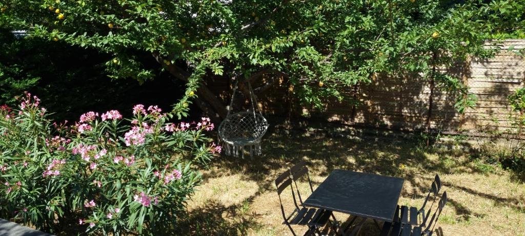 a chair in a garden with flowers and a tree at Charmant T2 coeur de village avec stationnement in Banyuls-sur-Mer