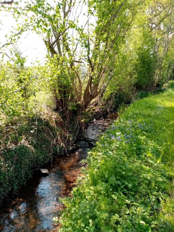 Gallery image of Entre forêts et prairies in Le Cercueil