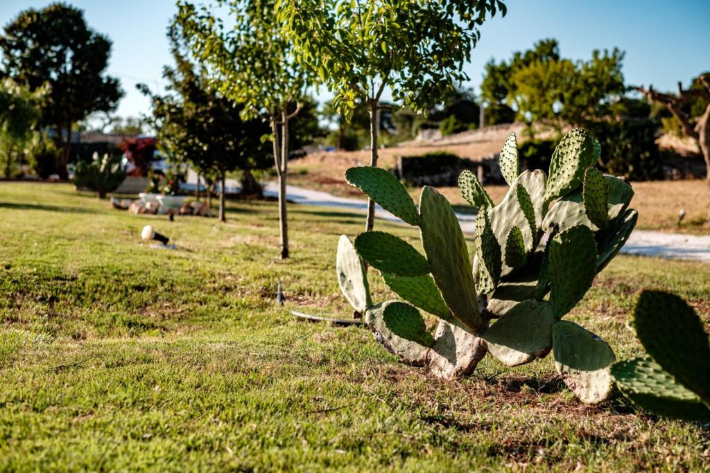 A garden outside HelloAPULIA Typical Cottage Lamia delle Murge - Private Pool & Scenic Hilltop Retreat - Pet friendly