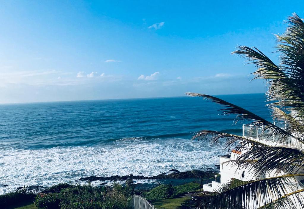 a view of the ocean with a palm tree at Sea View Penthouse in Ballito