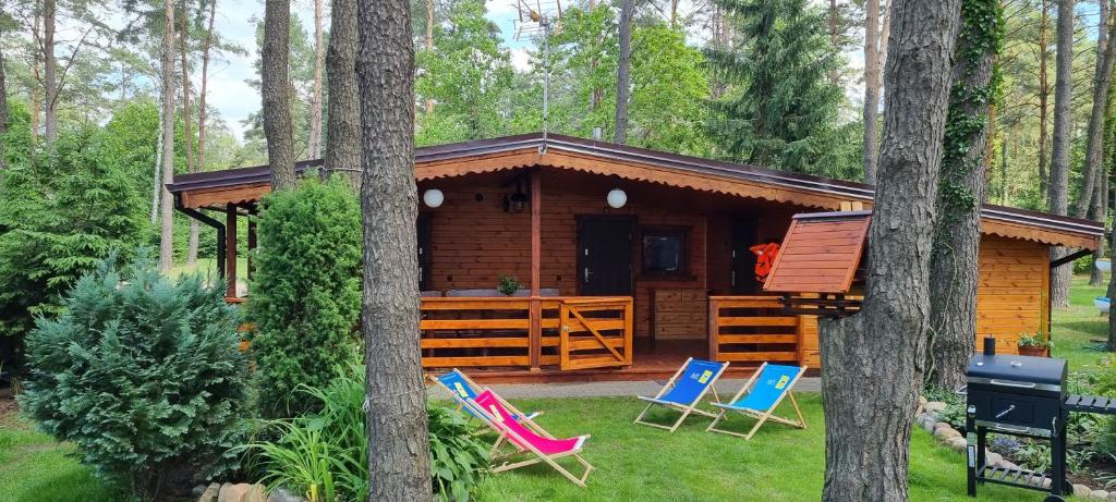 a cabin in the woods with chairs and a grill at Domek nad jeziorem - Mazur House in Ostróda