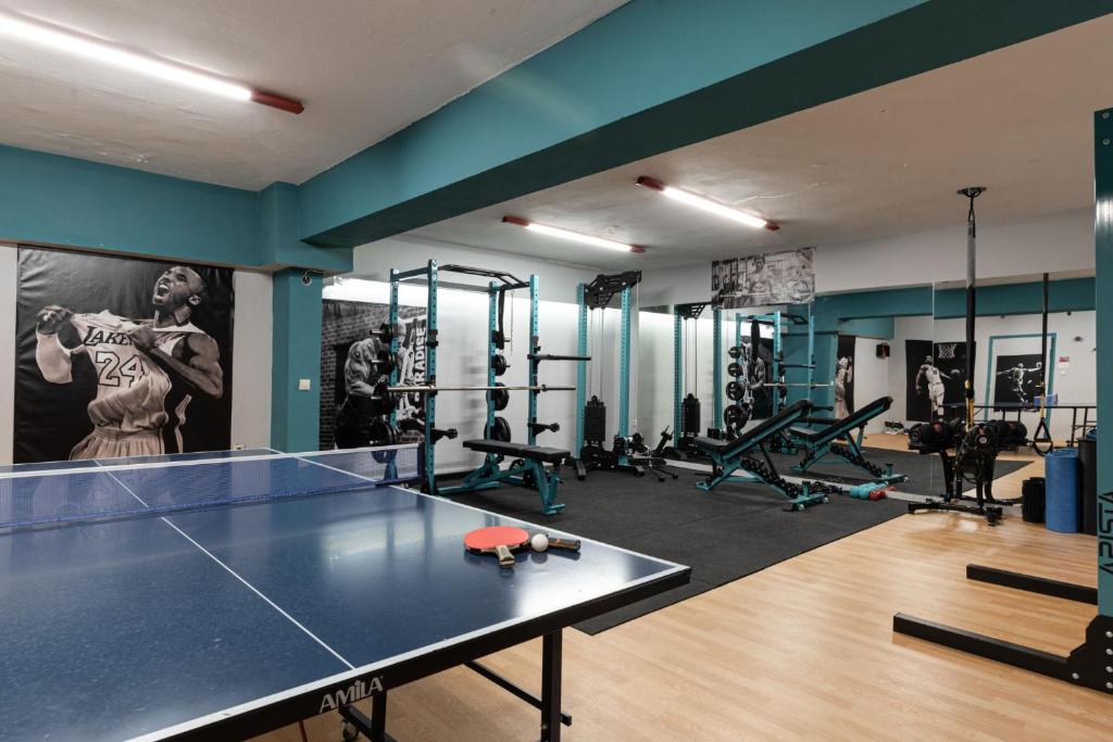 Fitness centrum a/nebo fitness zařízení v ubytování Sounio Panoramic Loft