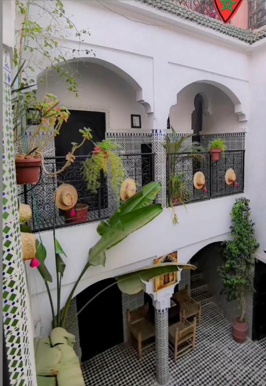 Zahrada ubytování Riad Sijane