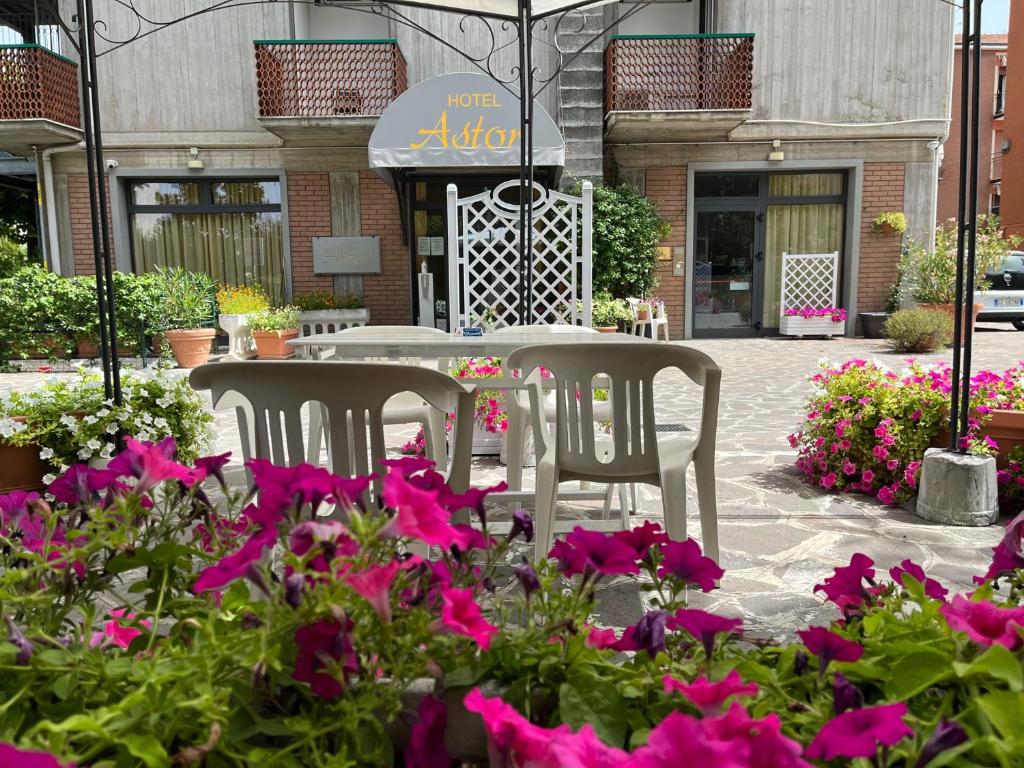 Zahrada ubytování Hotel Astor
