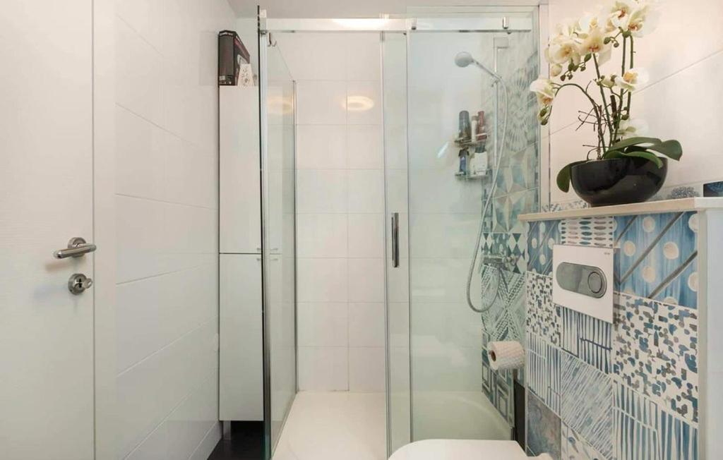 łazienka z przeszklonym prysznicem i toaletą w obiekcie Apartment Valsaline 2182 w Puli