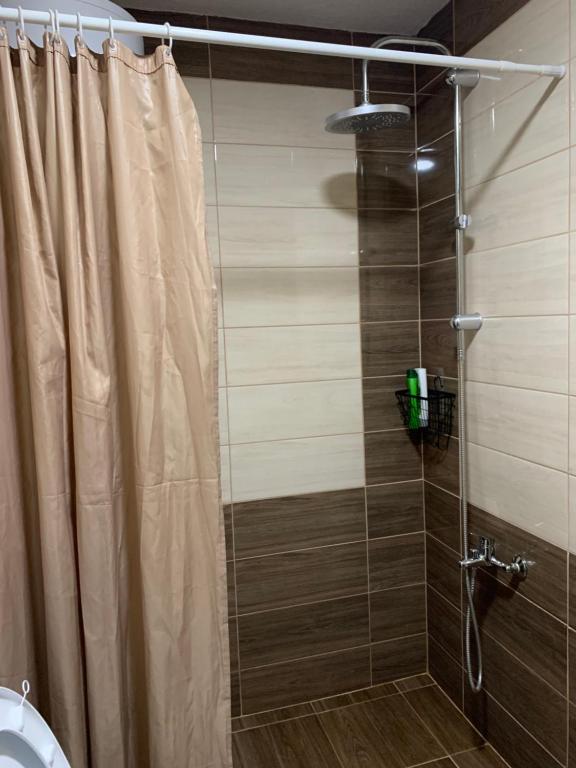 eine Dusche mit Duschvorhang im Bad in der Unterkunft Riverside Guesthouse in Vusanje