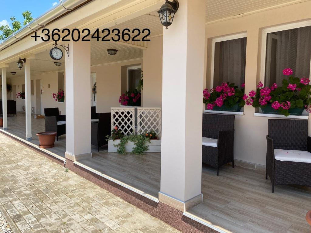 a porch of a house with potted plants at Sára Vendégház in Hajdúböszörmény