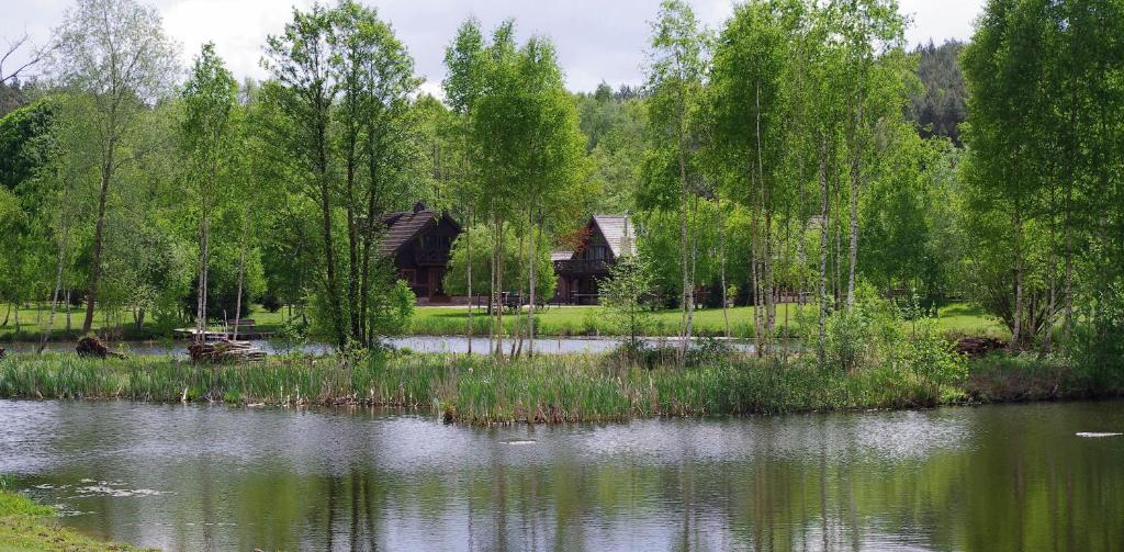 a house in the middle of a lake with trees at Tamarynowa Osada - Kraina Udanego Wypoczynku in Łowyń