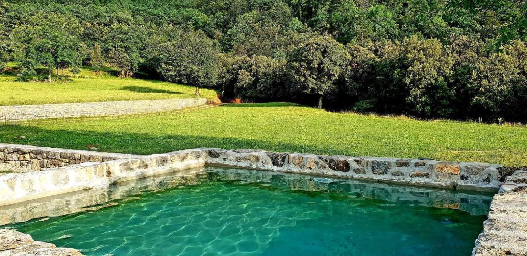 a large pool of water in a field at Casa en paraje natural único 25 pax in Girona
