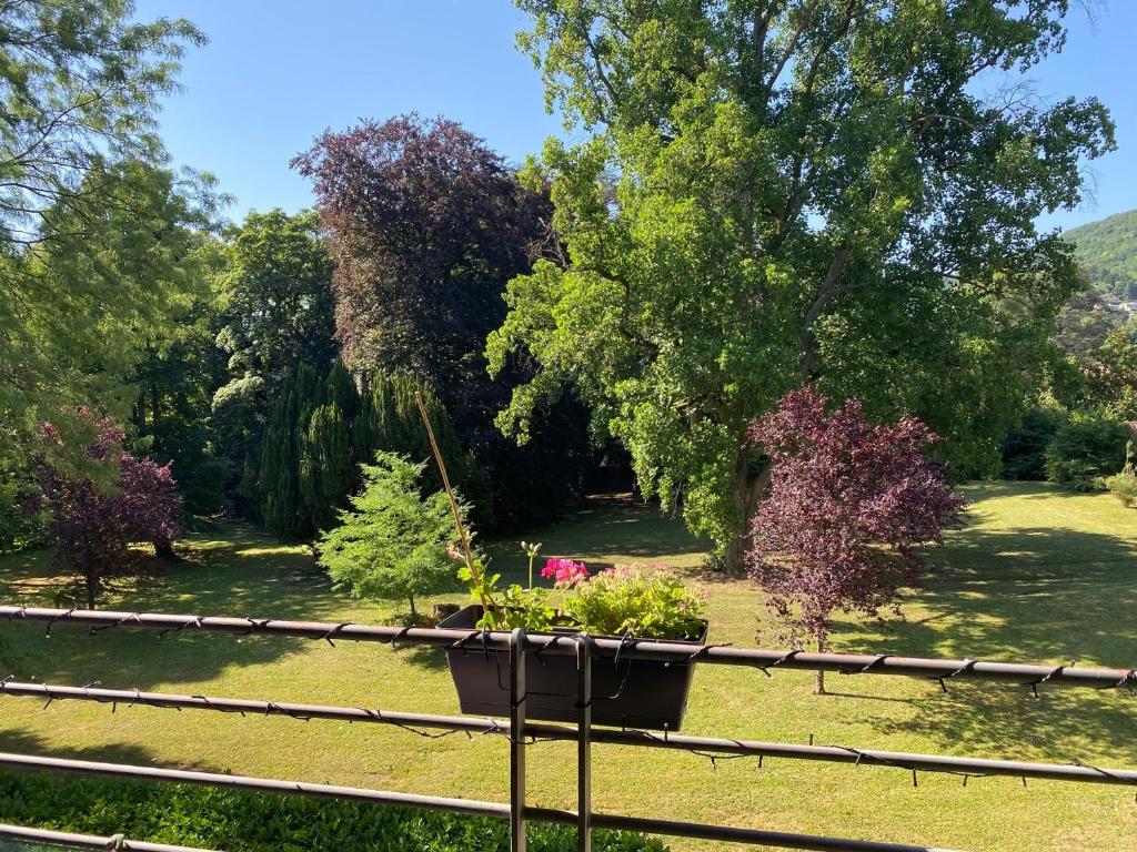 un jardin avec des arbres et un pot de fleurs sur une clôture dans l'établissement Appartement calme et lumineux proche de Lyon, à Saint-Romain-au-Mont-dʼOr