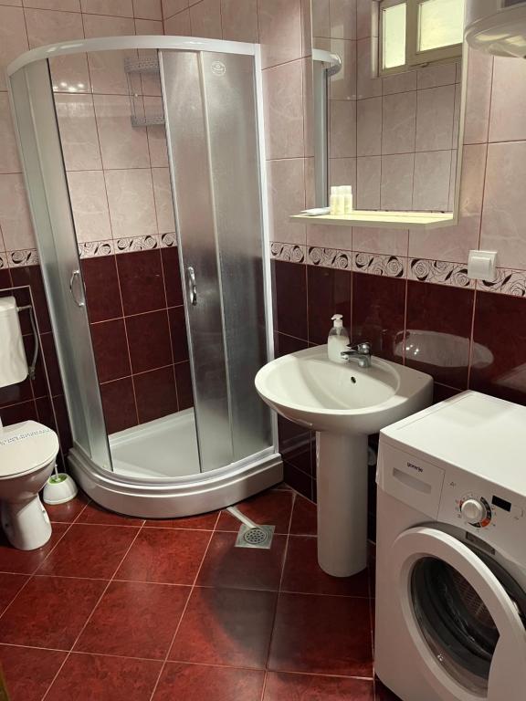 Apartments Vojvoda - 18