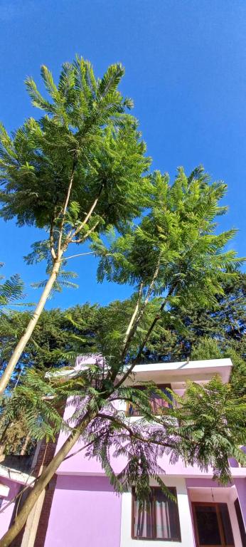 Foto dalla galleria di Hotel Bosques a Zacatlán