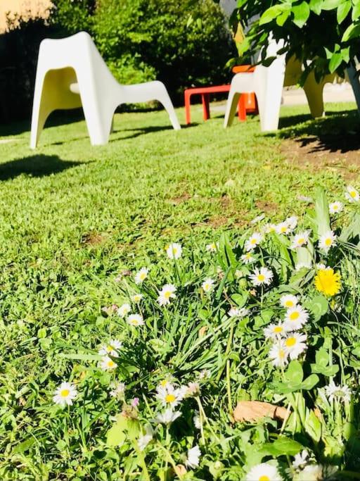 Vonkajšia záhrada v ubytovaní La Maison Pop Appartement meublé indépendant avec jardin