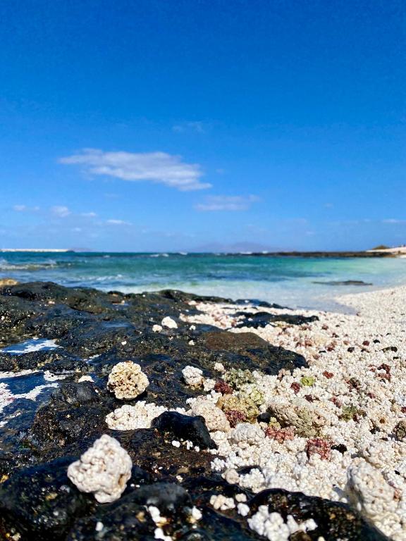 Fotografie z fotogalerie ubytování Apartamento San Valentín, Corralejo v destinaci Corralejo