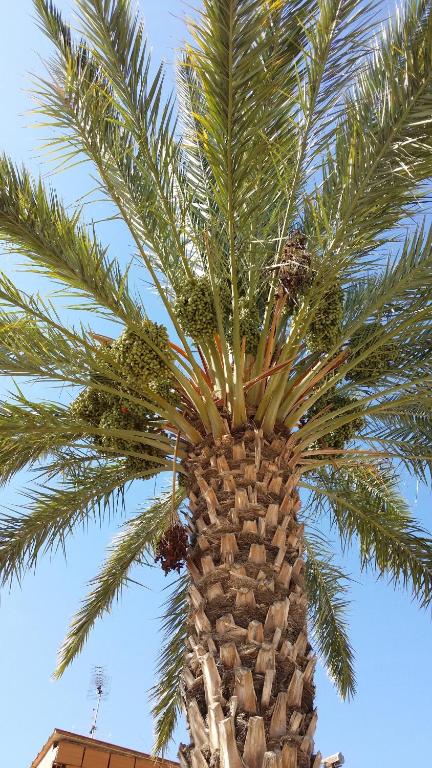 Kép Terra del Sole Vittoria szállásáról Vittoriában a galériában