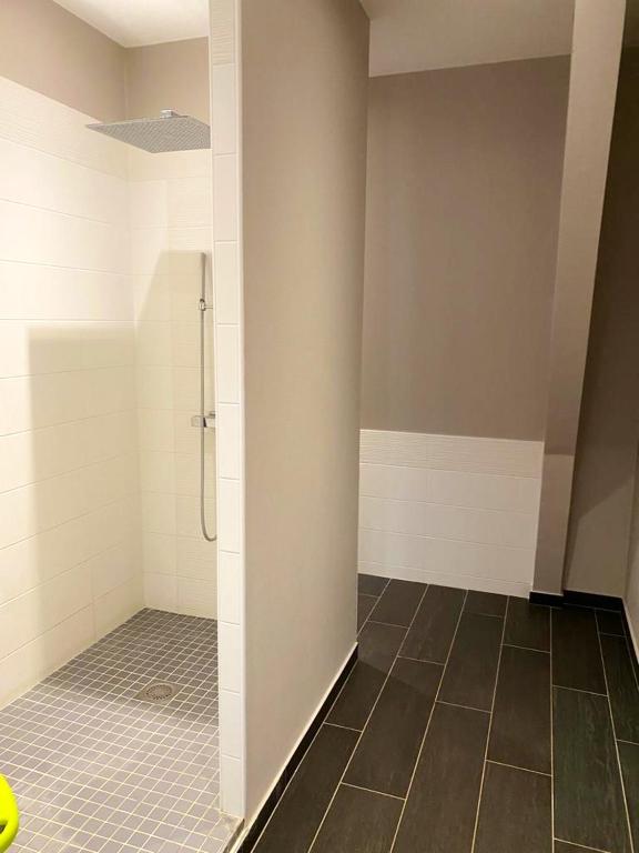 Łazienka w obiekcie Manoir majestueux à Chaniers avec piscine privée