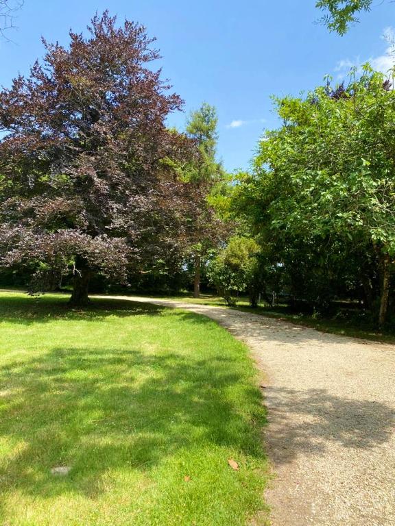 Ogród w obiekcie Manoir majestueux à Chaniers avec piscine privée