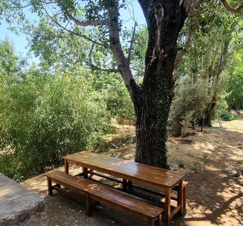 Zahrada ubytování Gîte Camping Amazigh
