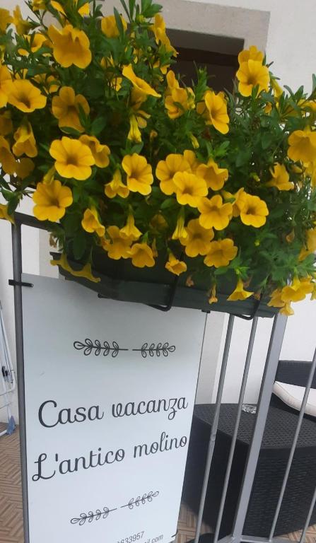 Fotografia z galérie ubytovania Casa Vacanza l' antico molino v destinácii Grosotto