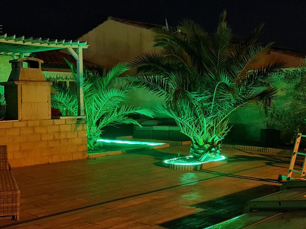 a palm tree on a patio with green lights at Ni 100%Gite,Ni100% loc chez Kheira&Pascal in Vitrolles