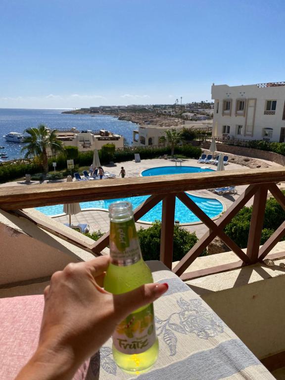 Fotografie z fotogalerie ubytování Sharks bay oasis apartment with private beach v destinaci Sharm El Sheikh