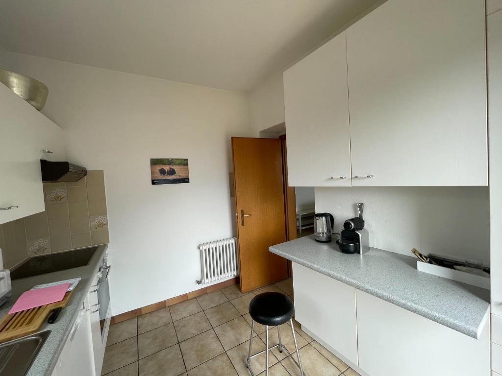 Kuchyň nebo kuchyňský kout v ubytování Residence Gaggiole, apartment 3