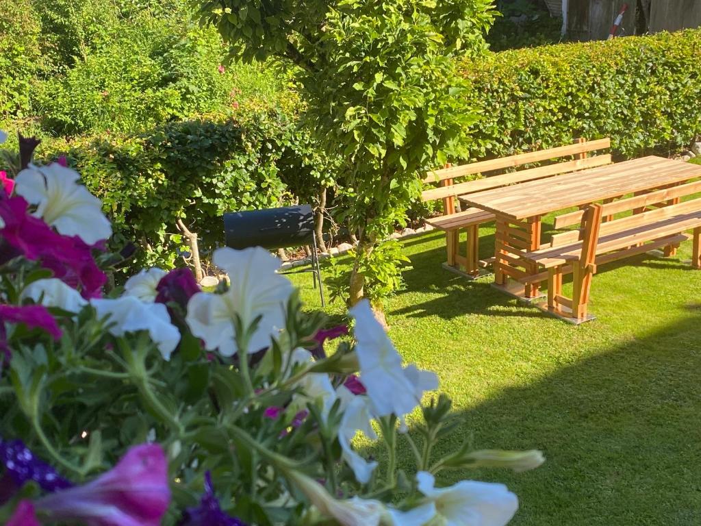 Zahrada ubytování Ferienhaus Christian