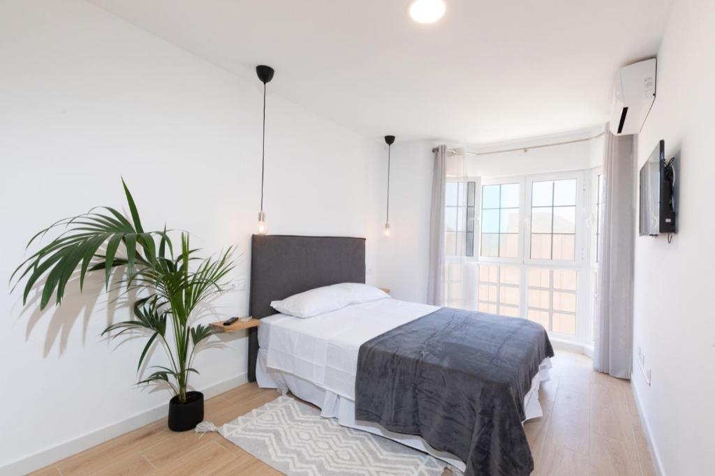 a bedroom with a bed and a potted plant at Itan home in Gran Tarajal