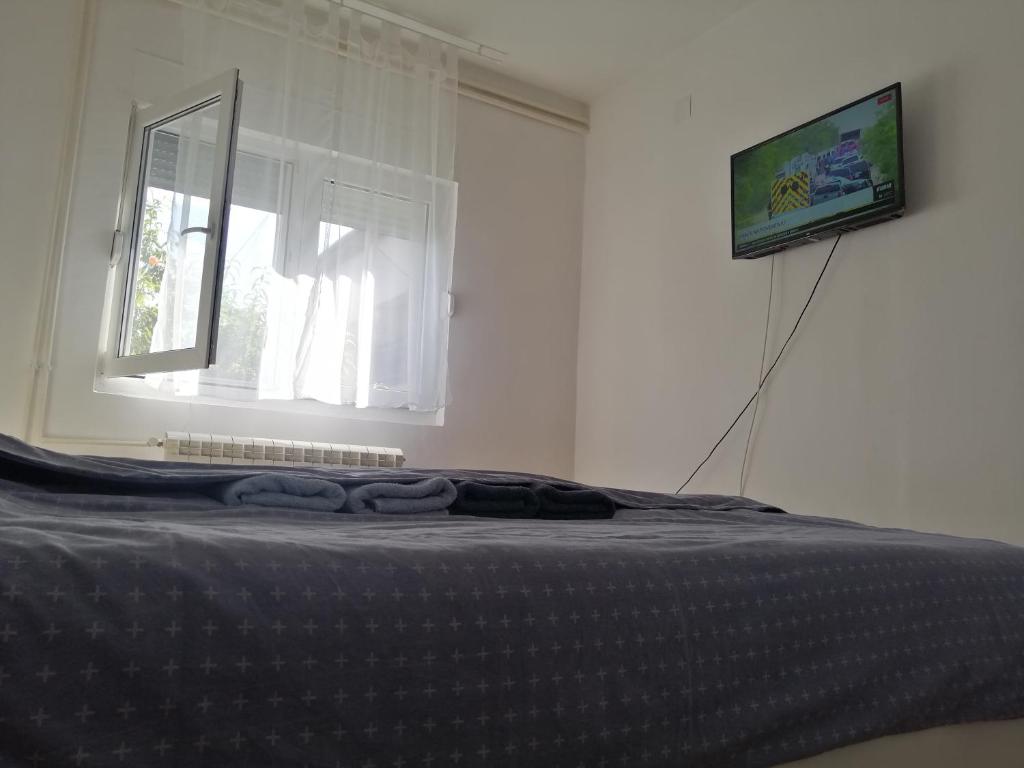 TV a/nebo společenská místnost v ubytování Apartman Nana Jagodina