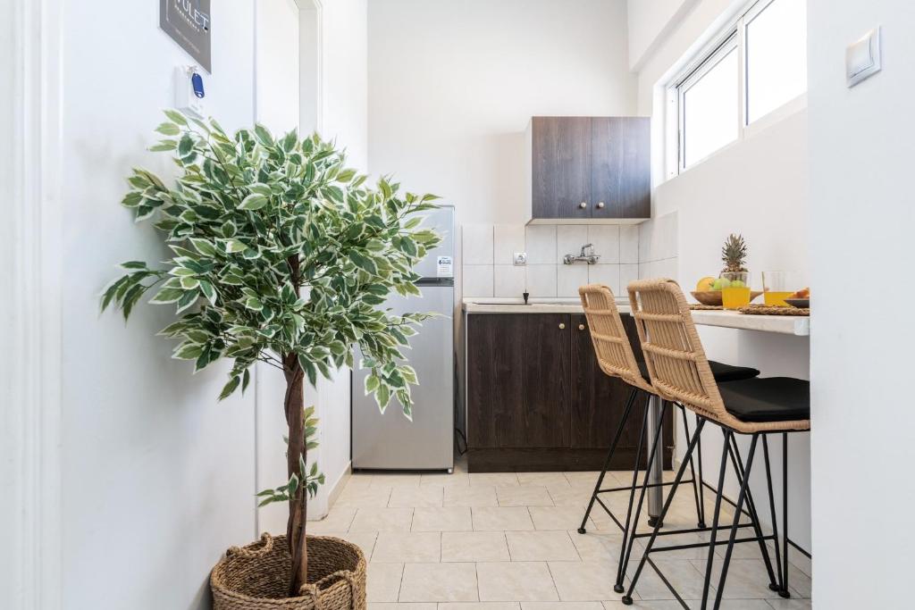 Kuchyň nebo kuchyňský kout v ubytování Rivulet Apartments
