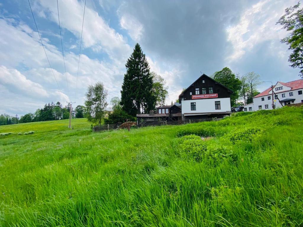 uma casa numa colina com um campo verde em Penzion Polubný em Kořenov