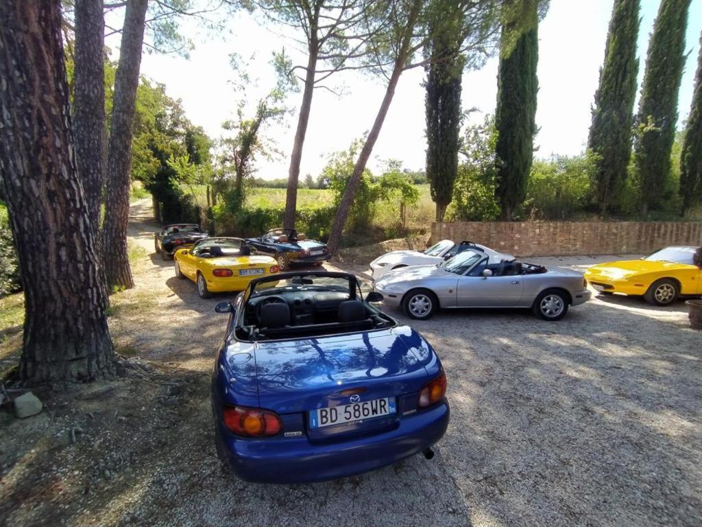 Fotografie z fotogalerie ubytování Miataland v destinaci Collazzone