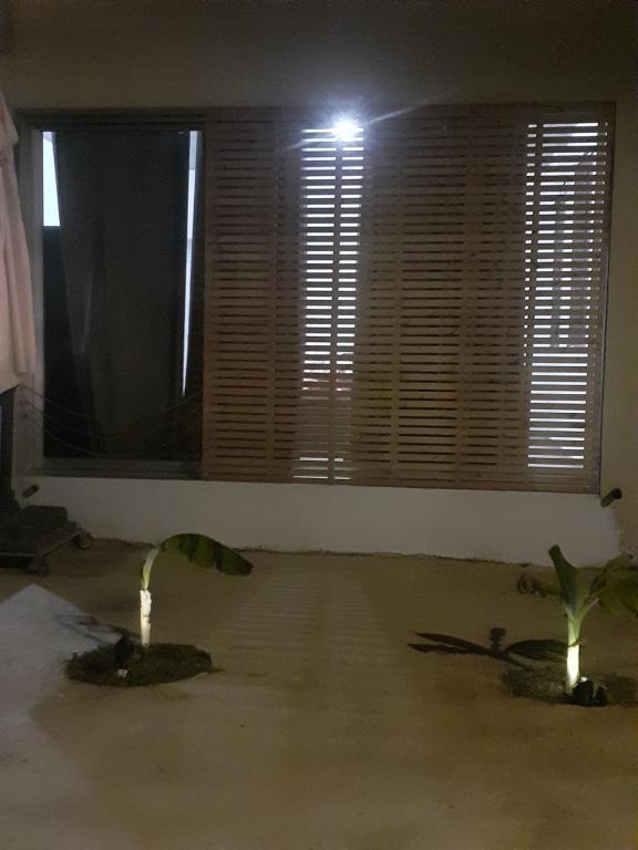 Fotografie z fotogalerie ubytování ARIADNIS 3 BEDs apt v destinaci Pomos