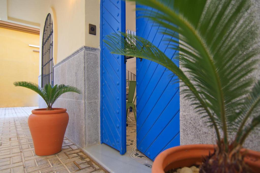 eine blaue Tür mit einer Pflanze davor in der Unterkunft Mara's Apartments Torremolinos LA MAR -Little House - First Line Beach - Bajondillo in Torremolinos