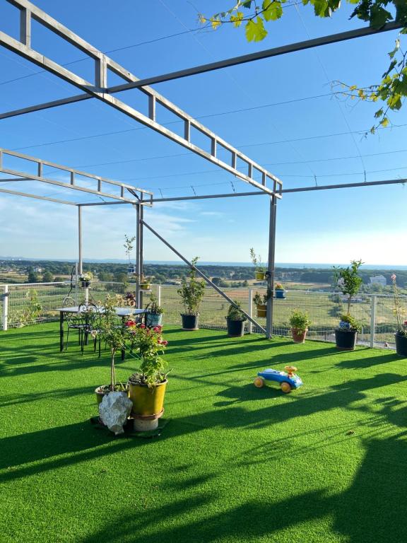 Zahrada ubytování Bellavista Villa