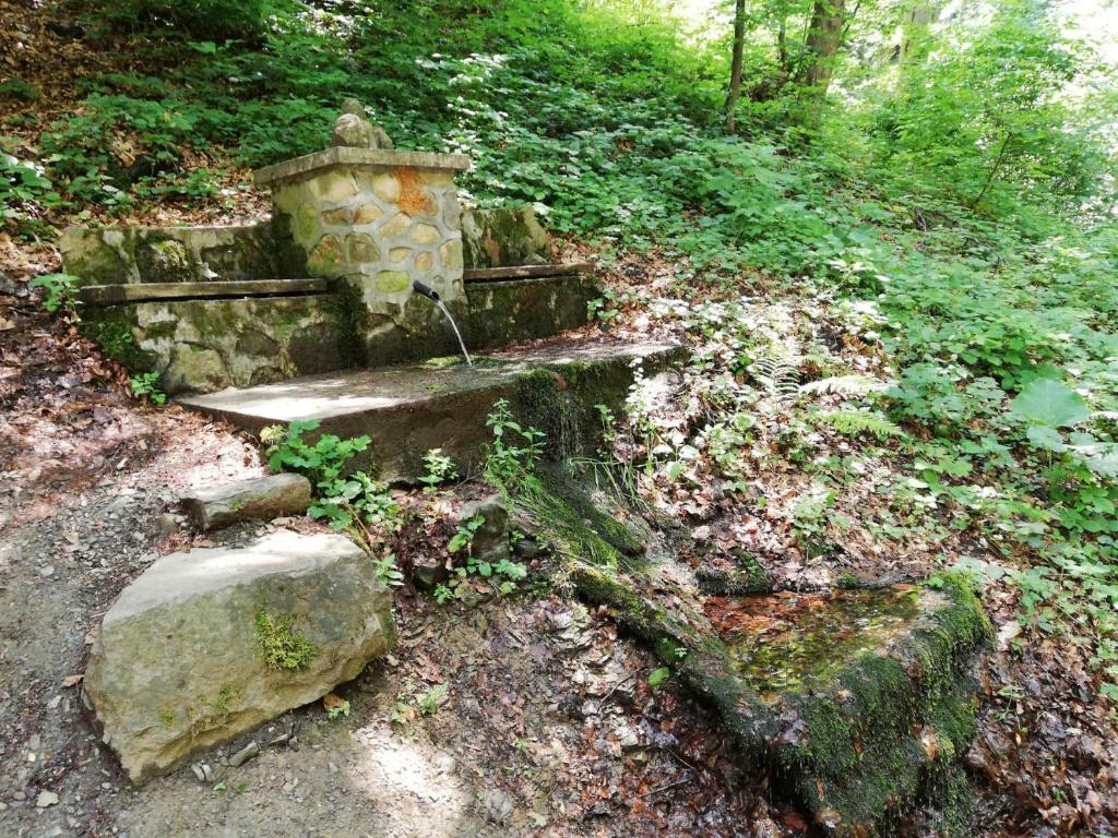Taman di luar Vikend kuća Ivković