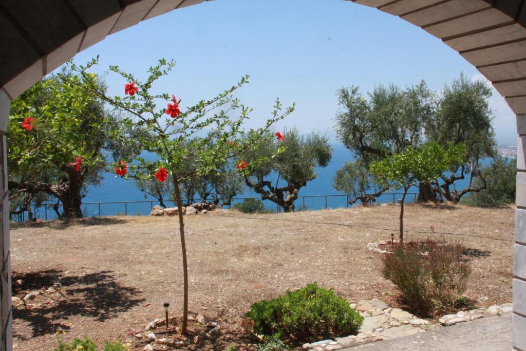 Táj Show holiday homes közelében