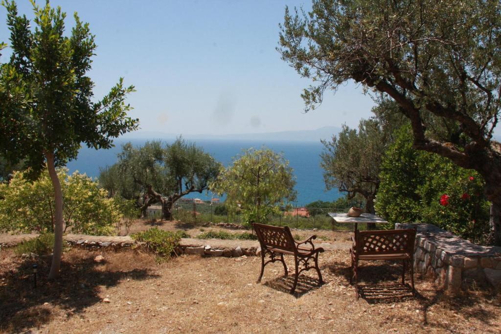Táj Show holiday homes közelében