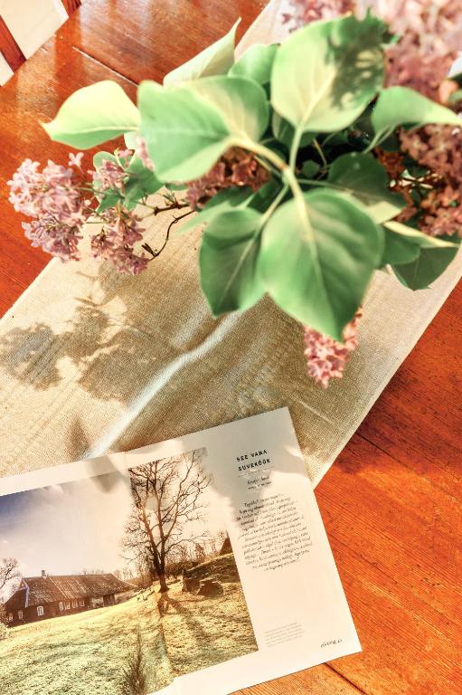 Fotografie z fotogalerie ubytování Matsi cottage v destinaci Igaküla